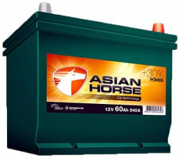 Extra Start Asian Horse 95.0